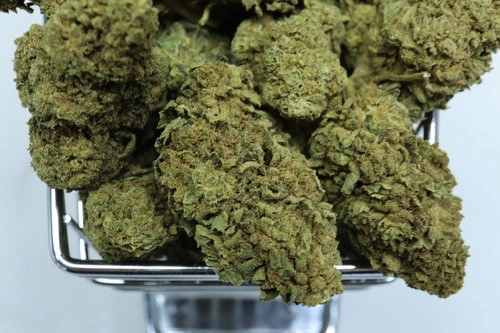 CBD Blüten kaufen