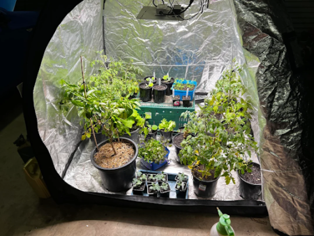 brauchen sie ein growzelt set für hydrokultur