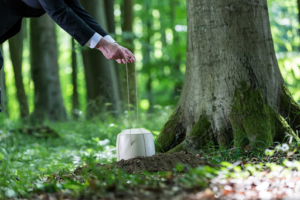 Waldbestattung