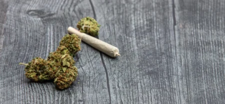 HHC Shop Erfahrungen